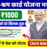 E Shram Card Payment Status