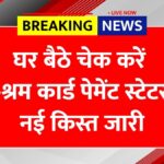 E Shram Card Payment Status