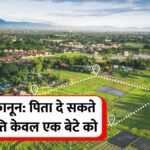 Property Inheritance Rules
